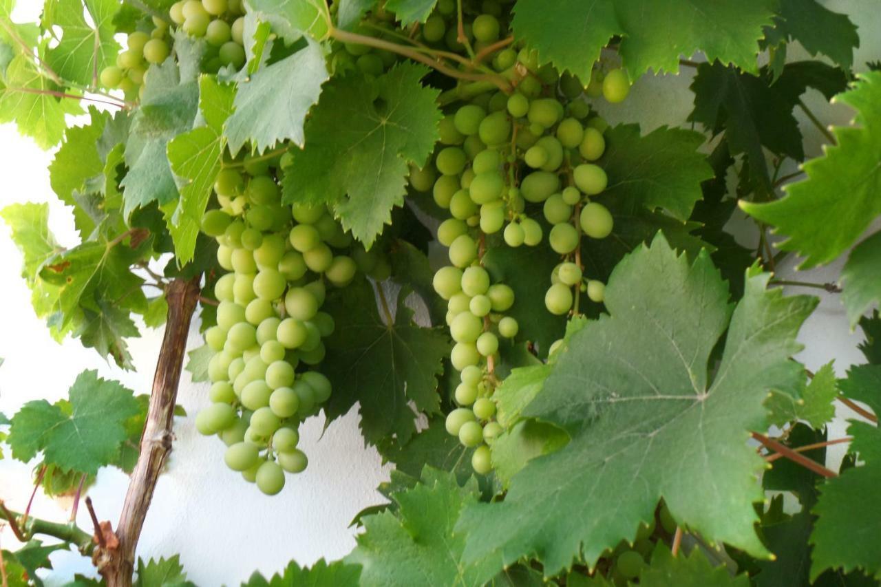 Hébergement de vacances Cortijo Luque Nerja