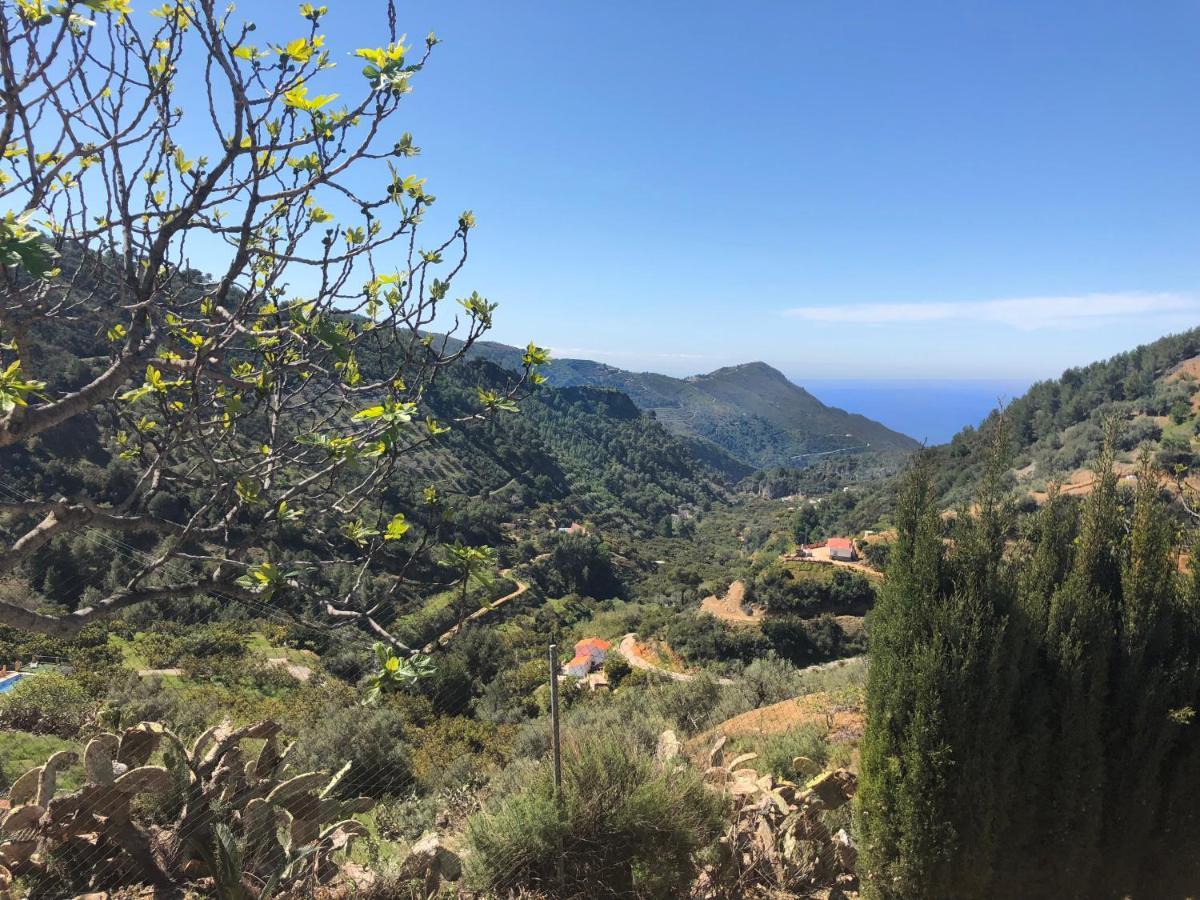 Cortijo Luque Ferienhaus